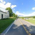 Loose horse in roadway near Unadilla Valley Raceway
