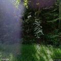 Tree on power lines causes pole fire and road blockage