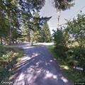 Unstable tree blocking road in Ridgefield