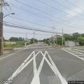 Deceased dog creating road hazard on River Avenue