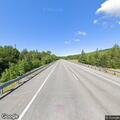 Dead turkey blocking lane on Gorham Hill