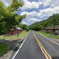 Tree blocking lane on sharp curve of Coal River Road