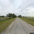 Bull blocking roadway on County Road 128
