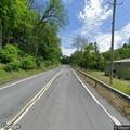 Loose dog running in roadway near Route 97