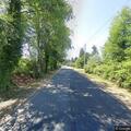 Complaint about live animal on Siletz River Highway