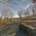 Deer blocking traffic lane near Horseshoe Bend