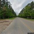 Tree briefly blocking road on US-550