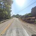 Dead deer blocking road at Oak and Dillner