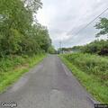 Loose dog in roadway on Meese Road