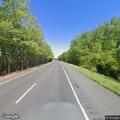 Loose Great Dane on Route 50 in Whaleyville
