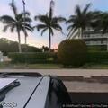 Tree fire reported on South Ocean Boulevard