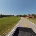 Loose cattle blocking roadway near Maple Park Road