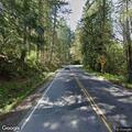 Fallen tree limbs blocking Woodinville Duvall Road