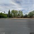 Loose large dog running in Roseville roadway