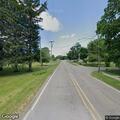 Deer blocking roadway on Main Street east corner