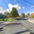 Bird caught in fishing line at Cranford intersection