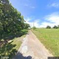 Cow blocking roadway on County Road 229