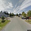 Officer reports loose dog on Julep Street