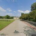 Report of two stray dogs on South Second Street