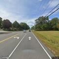 Deer blocking roadway on County Road in Gorham