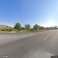 Cows reported near Lane 11 roadway in Lovell
