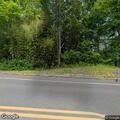 Dead deer on roadside near Route 519