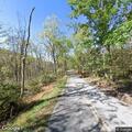 Tree partially blocking lane on Haymaker Farm Road