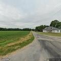 Vehicle crash with injured deer on rural roadway