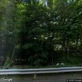 Brush fire assistance on Middletown Avenue
