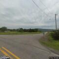 Loose cattle near West Highway 96 and West Hartford Road