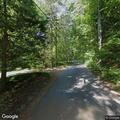 Tree limbs creating road hazard on local street