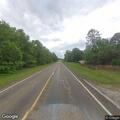 Animal call on FM 787 near county line
