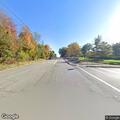 Injured deer blocking road at Summit Avenue