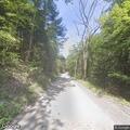 Downed live power line in woods near Vandenberg Road