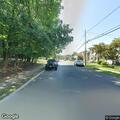 Tree blocking Maple Avenue near Wardell Avenue