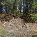 Report of dead bear on Lefthand Canyon Drive