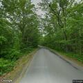 Tree hazard reported on Foster Road in Bristol
