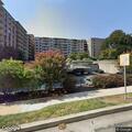 Dead deer on roadway near Yale Avenue condos