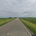 Loose cattle creating road hazard near Kranzburg