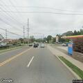 Injured hawk found dead on Maywood Avenue roadway