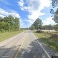 Elk reported along roadside at FM 134 and FM 9