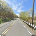 Bears crossing road create traffic hazard
