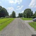Small dog walking in lanes near Crestview Cemetery