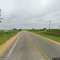 Cat repeatedly entering roadway near Goose Lake