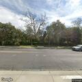 Deer in roadway at Maplewood and Blackhawk