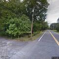 Tree down on road after striking vehicle