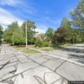 Loose chickens blocking roadway on Forest Street
