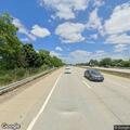 Dog running in traffic on Sunrise Highway