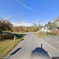 Cows blocking roadway on Chestnut Road