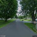 Tree partially blocking Walker Avenue roadway